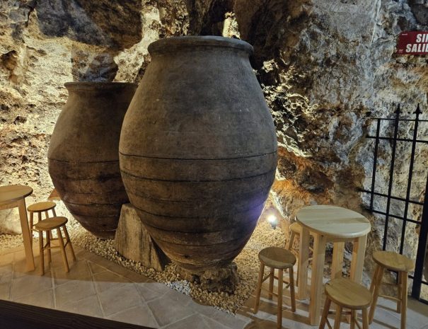 Cueva(4)