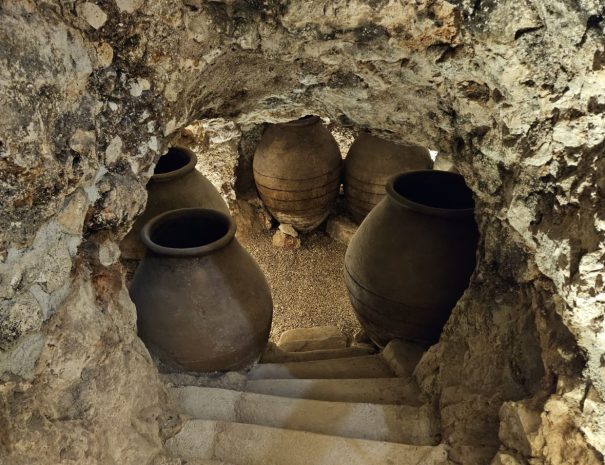 Cueva(7)