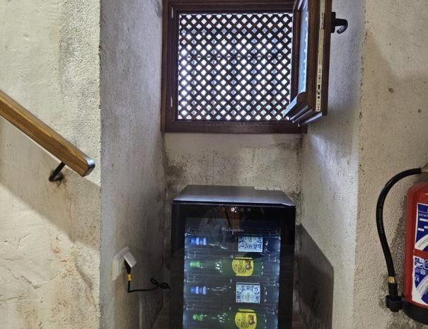 Nevera vinos(1)